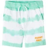 NAME IT Shorts In Grün/ Weiß